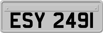 ESY2491