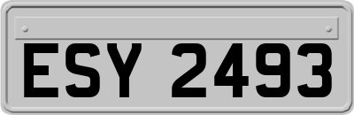 ESY2493