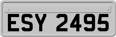 ESY2495