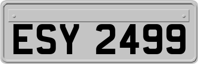 ESY2499