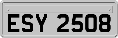 ESY2508