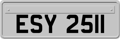 ESY2511