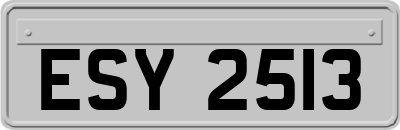 ESY2513