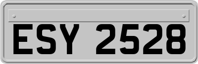 ESY2528