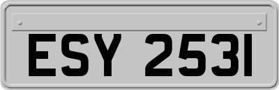 ESY2531