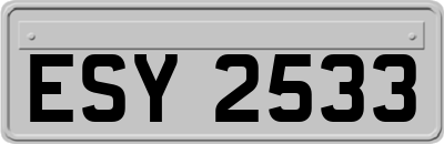 ESY2533