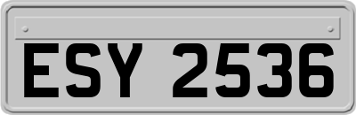 ESY2536