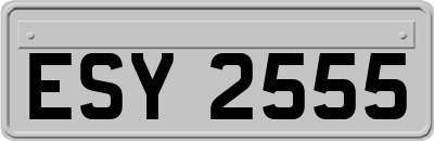 ESY2555