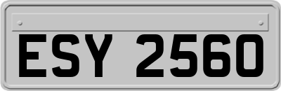 ESY2560