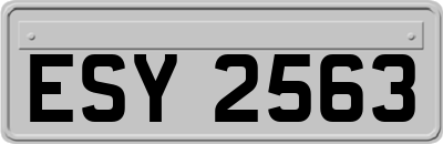 ESY2563