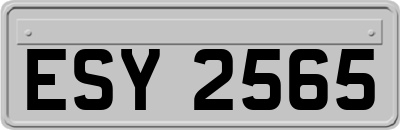 ESY2565