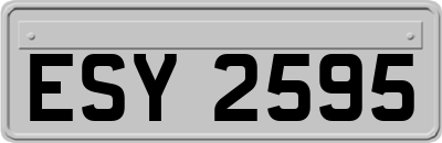 ESY2595