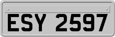 ESY2597