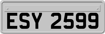 ESY2599