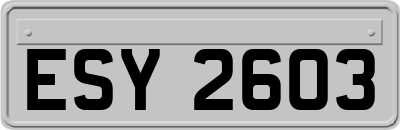 ESY2603