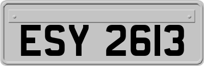 ESY2613