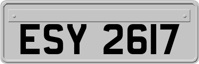 ESY2617