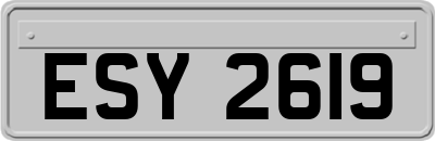 ESY2619