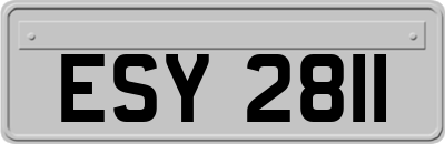 ESY2811