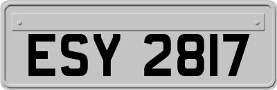 ESY2817