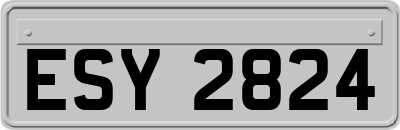 ESY2824