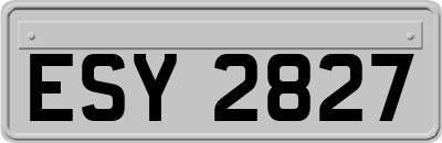 ESY2827