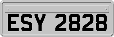 ESY2828