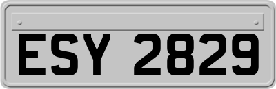 ESY2829
