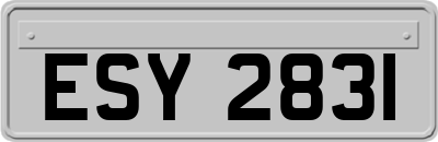 ESY2831
