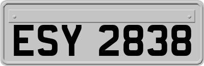 ESY2838
