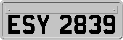 ESY2839