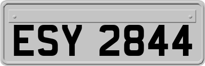 ESY2844