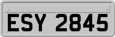 ESY2845