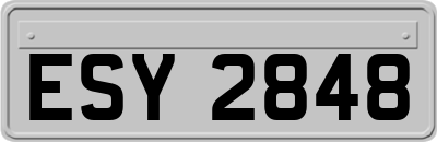 ESY2848