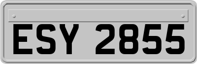 ESY2855