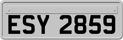 ESY2859
