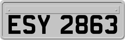 ESY2863