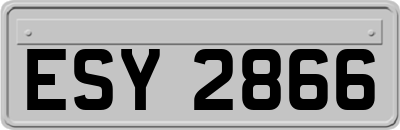 ESY2866