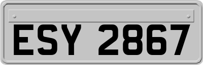 ESY2867