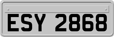 ESY2868