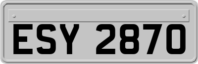 ESY2870