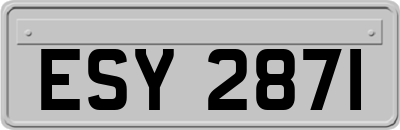 ESY2871