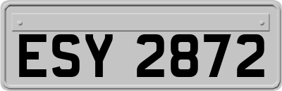 ESY2872