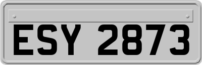 ESY2873