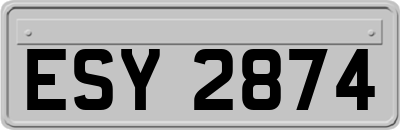 ESY2874