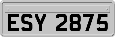 ESY2875
