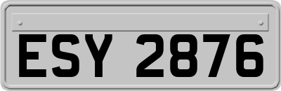 ESY2876