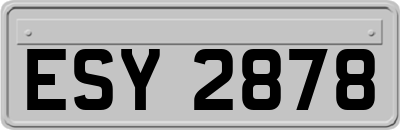 ESY2878