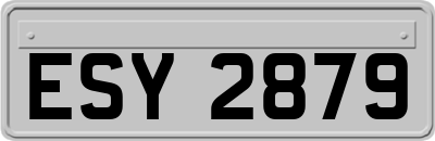 ESY2879