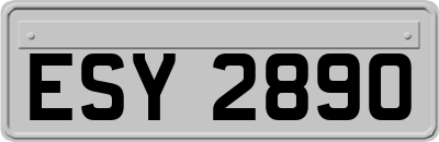 ESY2890
